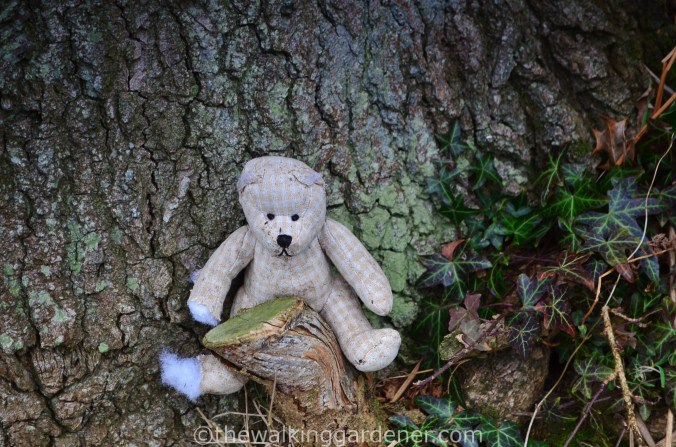 Hadrian Walls Path Carlisle to Gilsland (10)