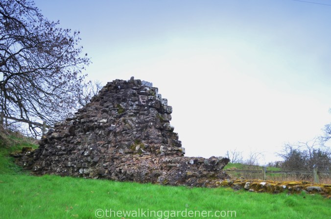Hadrian Walls Path Carlisle to Gilsland (13)
