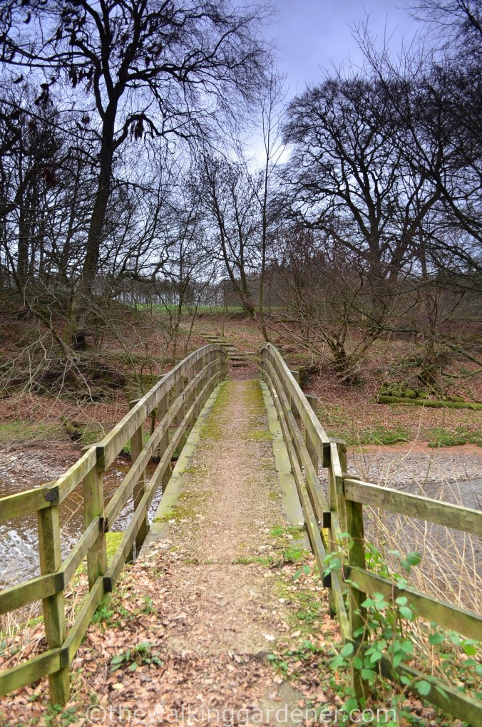 Hadrian Walls Path Carlisle to Gilsland (6)