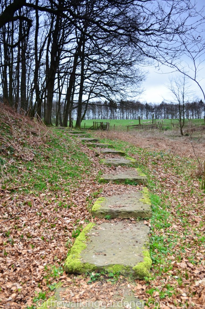 Hadrian Walls Path Carlisle to Gilsland (9)