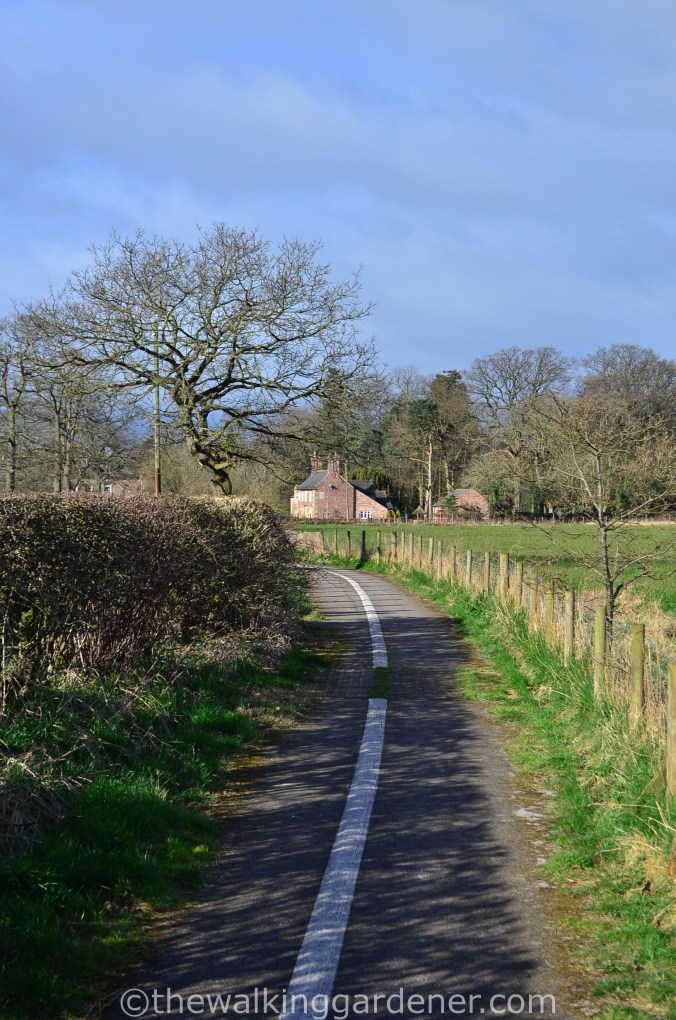 Hadrians Wall Path (1)