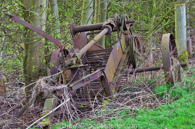 Hadrians Wall Path (5)