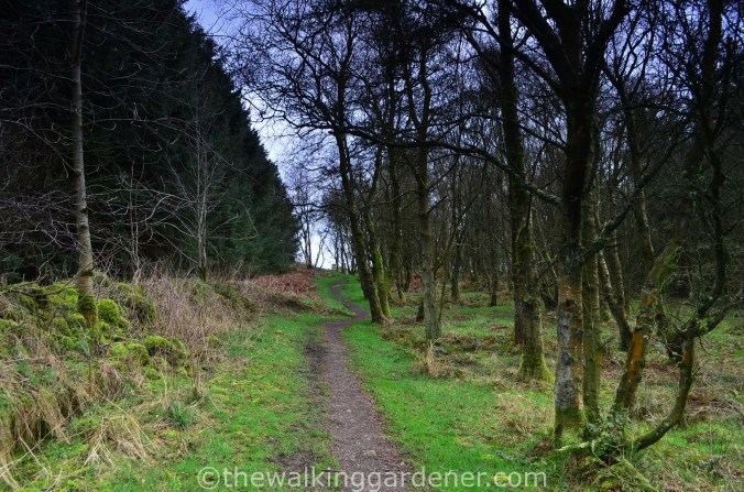 Hadrian's Wall Path Day 2 (1)