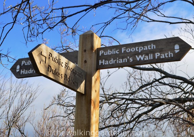 Hadrians Wall Path