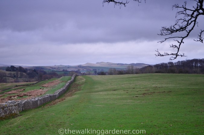 Hadrians Wall Whin Sill