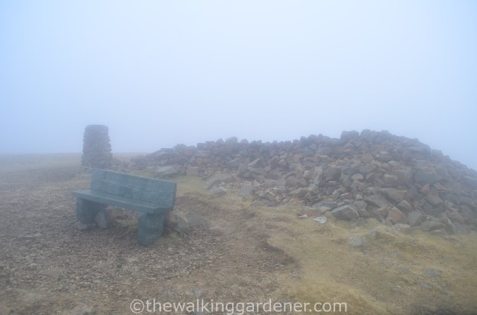 High Pike Summit