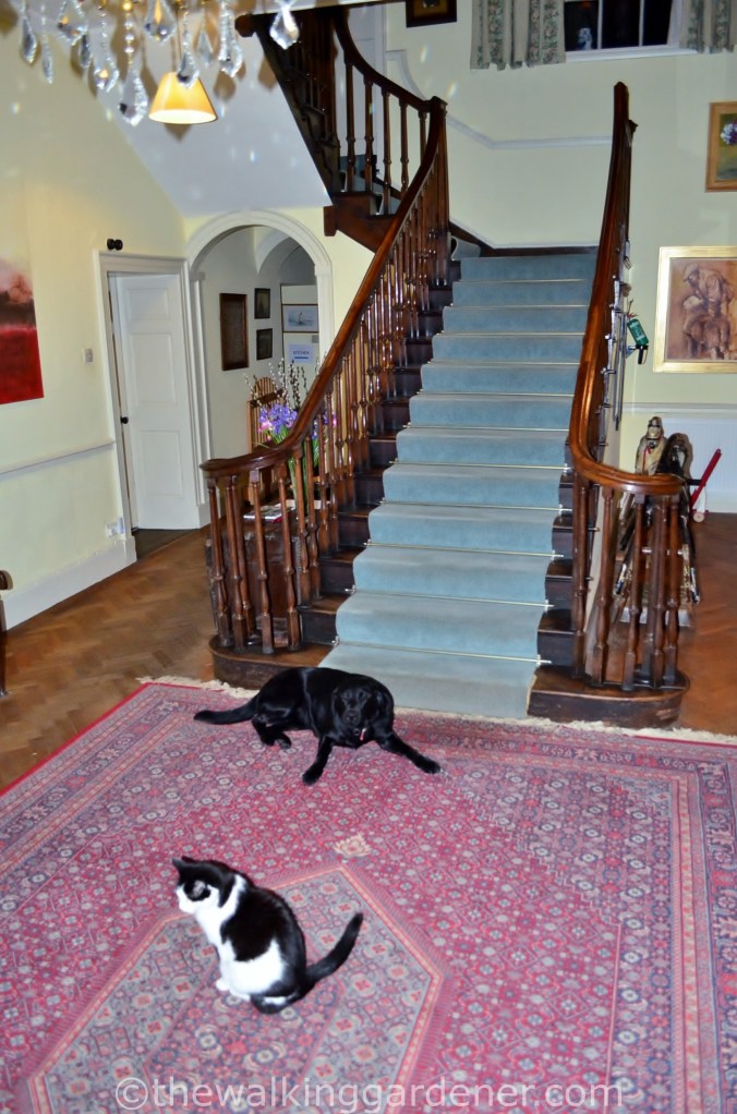 Old Rectory Caldbeck (3)