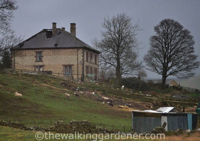 Old Vicarage Gilsland