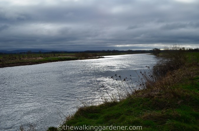 River Eden Cumbria