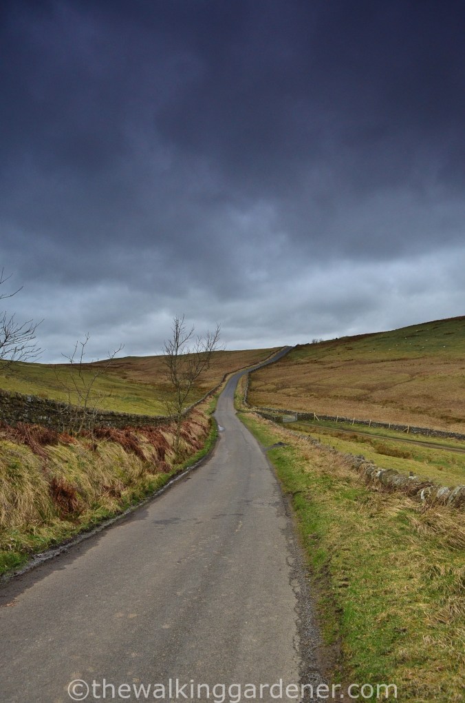 Road to Saughy Rigg