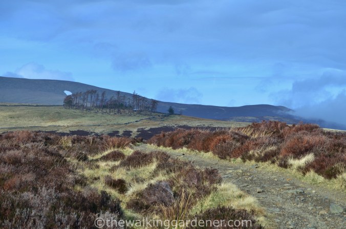 Skiddaw House Youth Hostel (2)