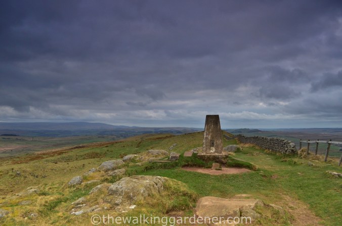 Summit Whinshield Crags