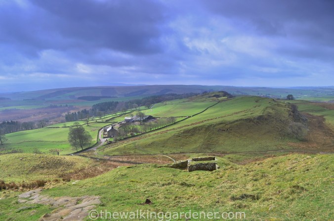 Turret 44b Walltown Gap