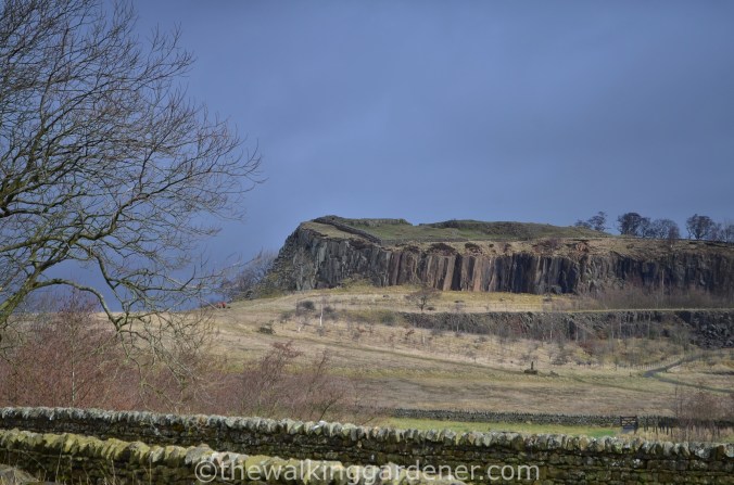 Walltown Quarry