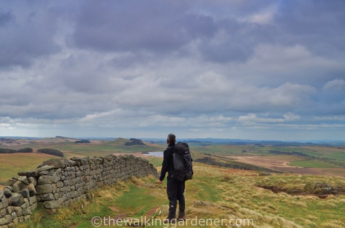 Whinshields Crags View