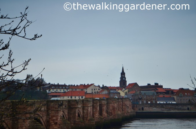 Berwick upon Tweed