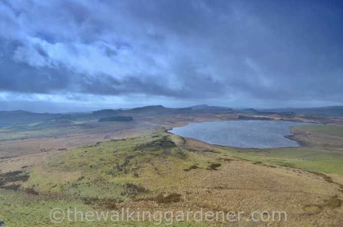 Broomlee Lough Hadrian's Wall (1)