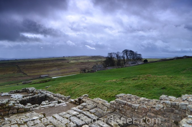 Housesteads Hadrian's Wall (1)
