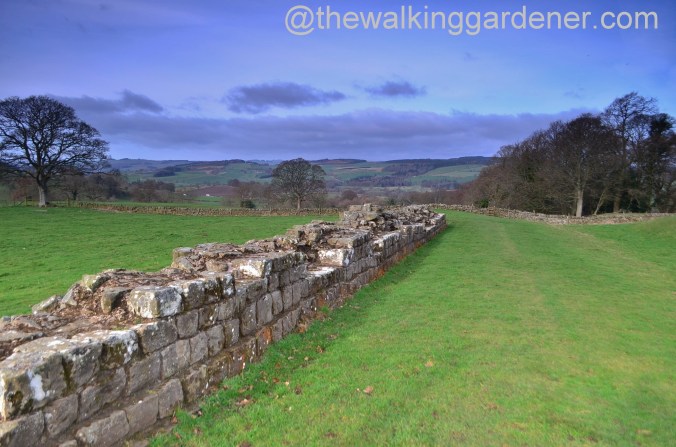 St Oswalds Way Day 1