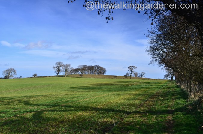 St Oswalds Way Day 1 (11)