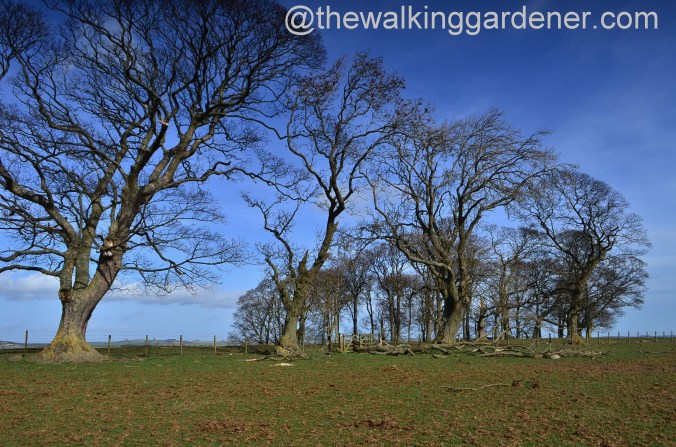 St Oswalds Way Day 1