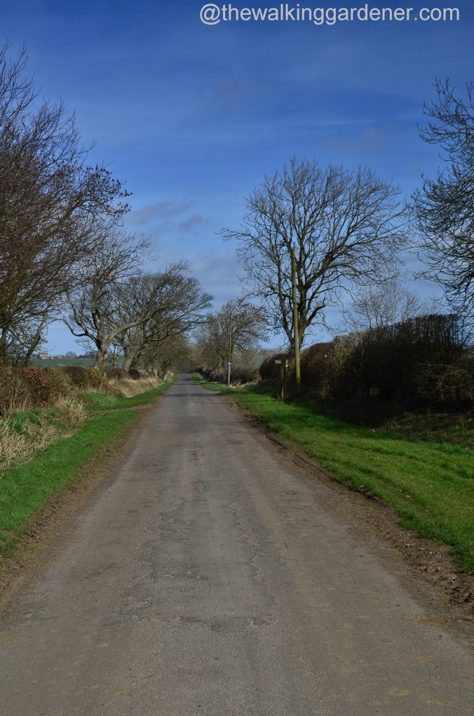 St Oswalds Way Day 1 (16)