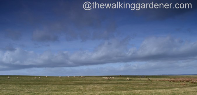 St Oswalds Way Day 1 (19)