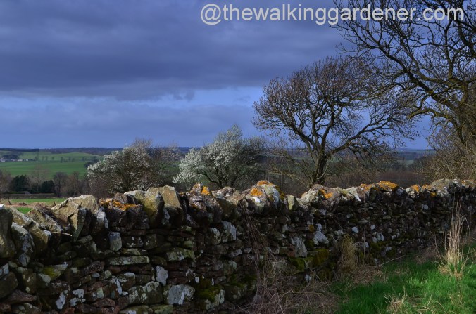 St Oswalds Way Day 1 (22)