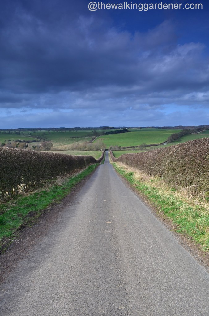 St Oswalds Way Day 1 (23)