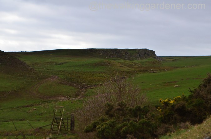 St Oswalds Way Day 1