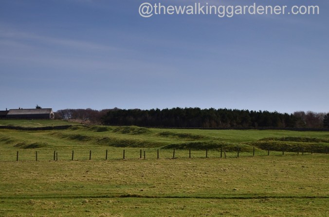 St Oswalds Way Day 1 (7)