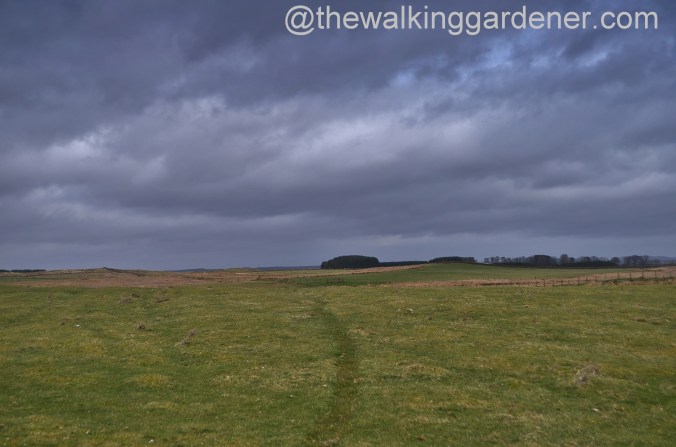 St Oswalds Way Day 2