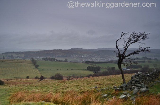 St Oswalds Way Day 2 (22)