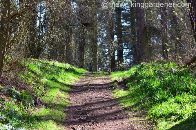St Oswald's Way Day 3