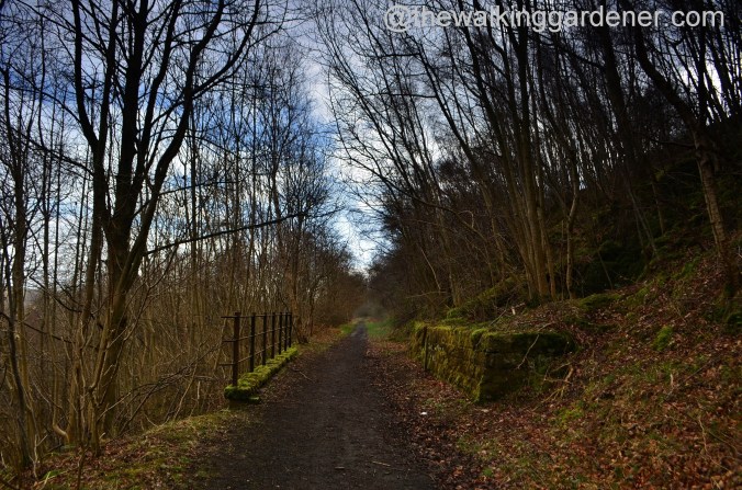St Oswald's Way Day 3