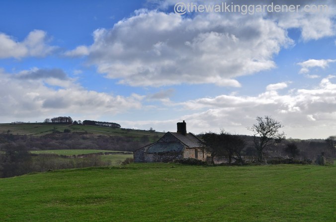 St Oswald's Way Day 3