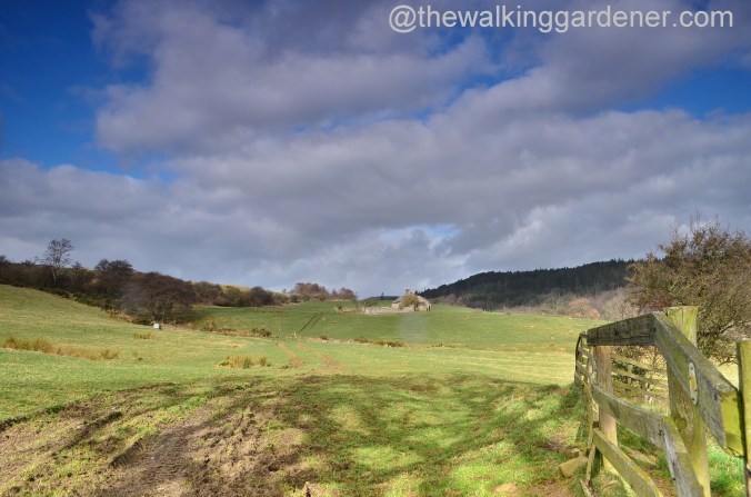 St Oswald's Way Day 3 (8)