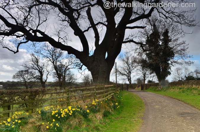 St Oswald's Way Day 3