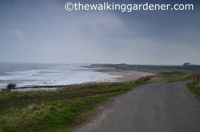 St Oswalds Way Day 7 (22)