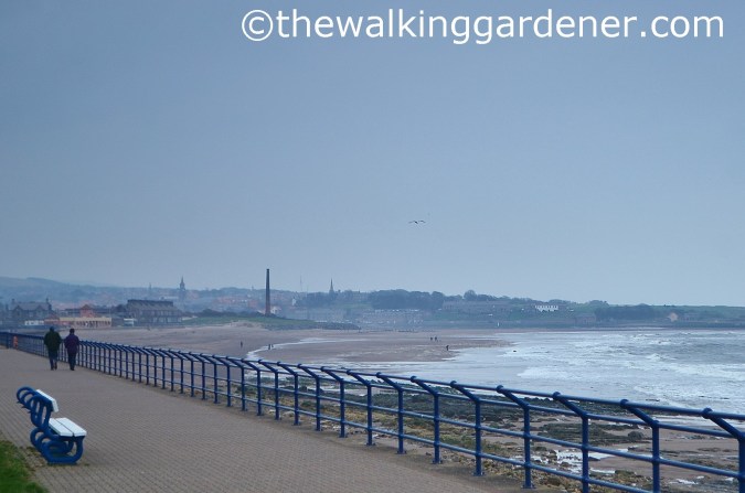 St Oswalds Way Day 7 (24)