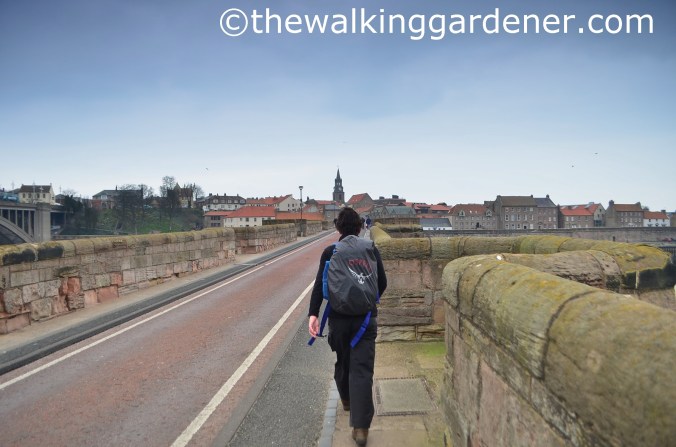 St Oswalds Way Day 7 (28)