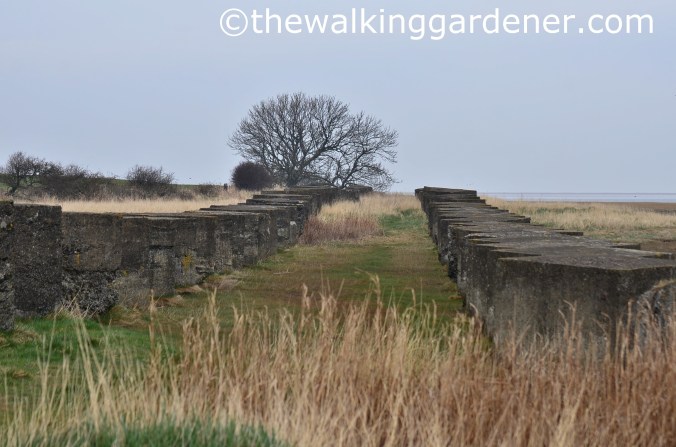 St Oswalds Way Day 7 (4)