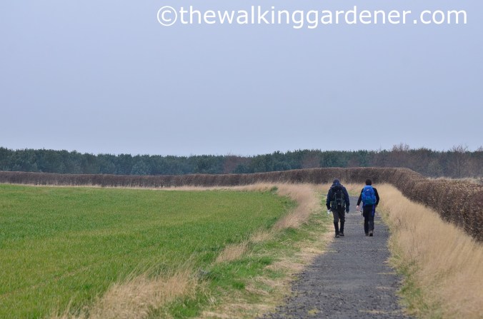 St Oswalds Way Day 7 (7)