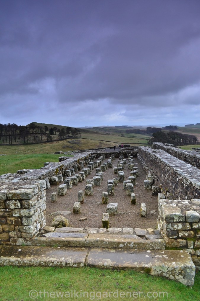 The Granary Housesteads