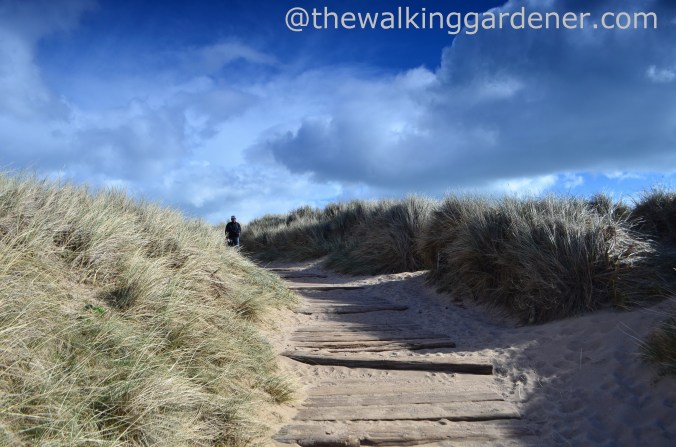 St Oswalds Way Day 4