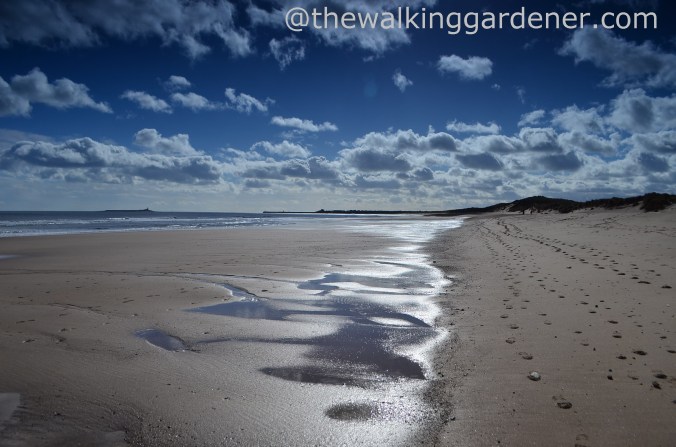 St Oswalds Way Day 4