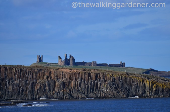 Dunstanburgh Castle
