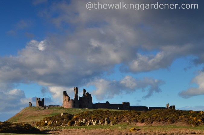 Dunstanburgh Castle