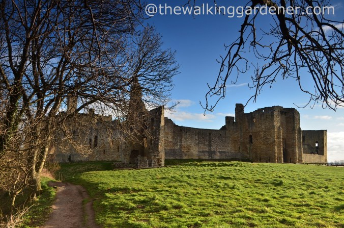 Warkworth Castle