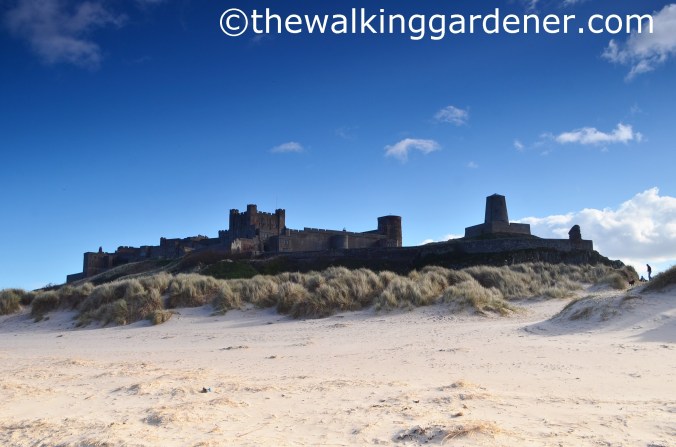 Bamburgh Castle
